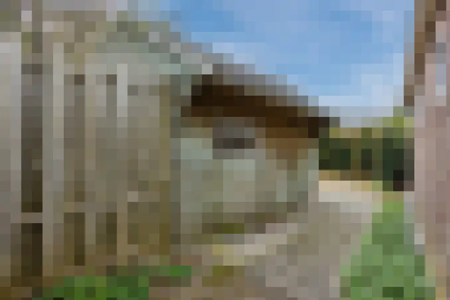 Oranjestraat 9 Vroomshoop thumbnail 55