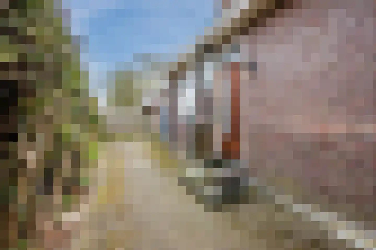 Oranjestraat 9 Vroomshoop thumbnail 56