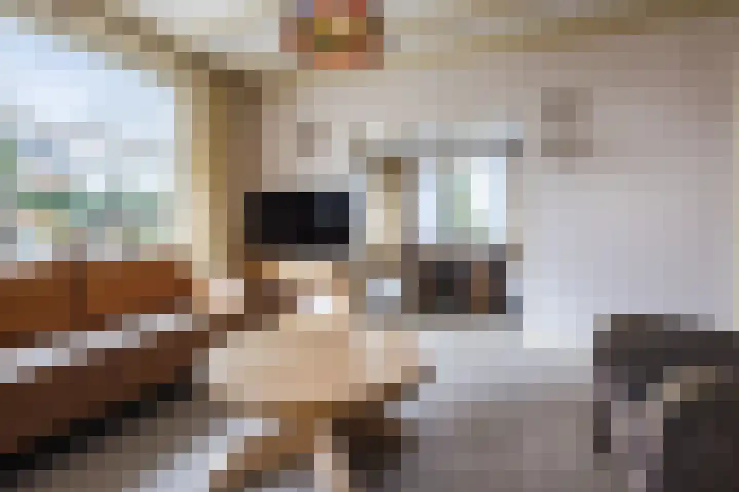 Oranjestraat 9 Vroomshoop thumbnail 7
