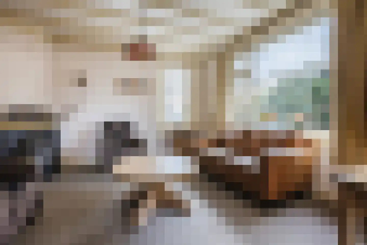 Oranjestraat 9 Vroomshoop thumbnail 9