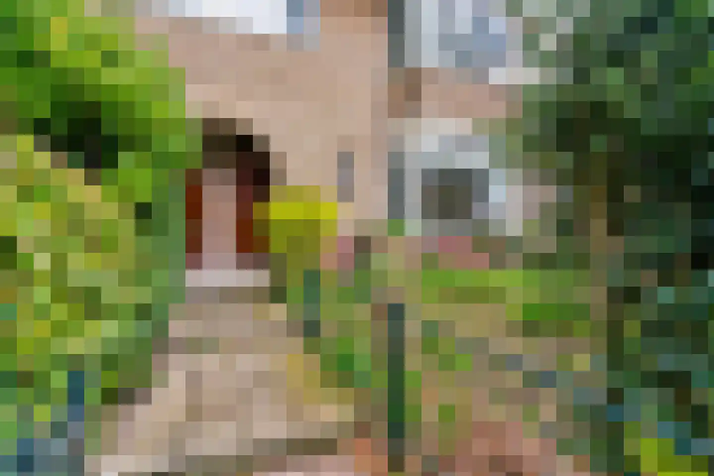 Oranjestraat 90 Arnhem thumbnail 44