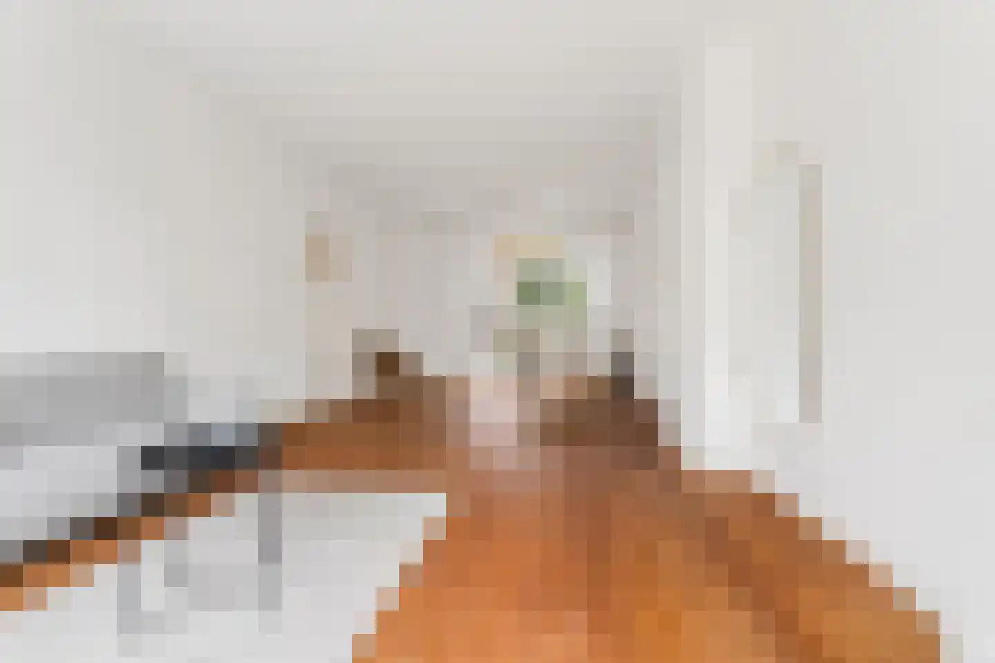 Oranjestraat 90 Arnhem thumbnail 8