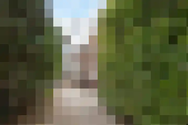 Oranjestraat 93 Arnhem thumbnail 31