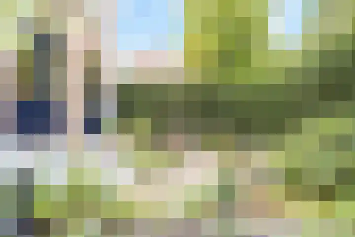 Oranjestraat 93 Arnhem thumbnail 33