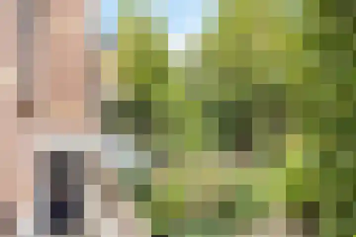 Oranjestraat 93 Arnhem thumbnail 34