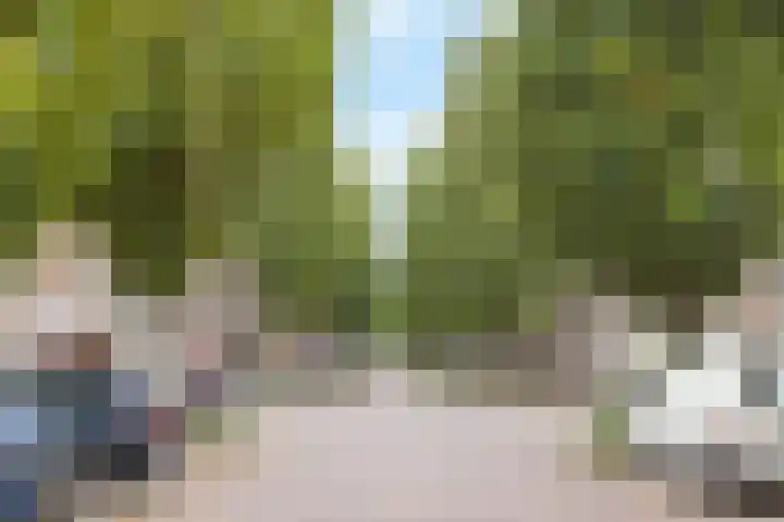 Oranjestraat 93 Arnhem thumbnail 37