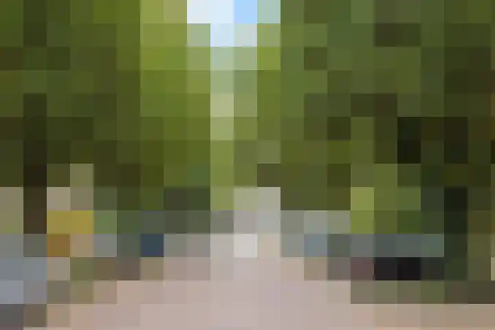 Oranjestraat 93 Arnhem thumbnail 38