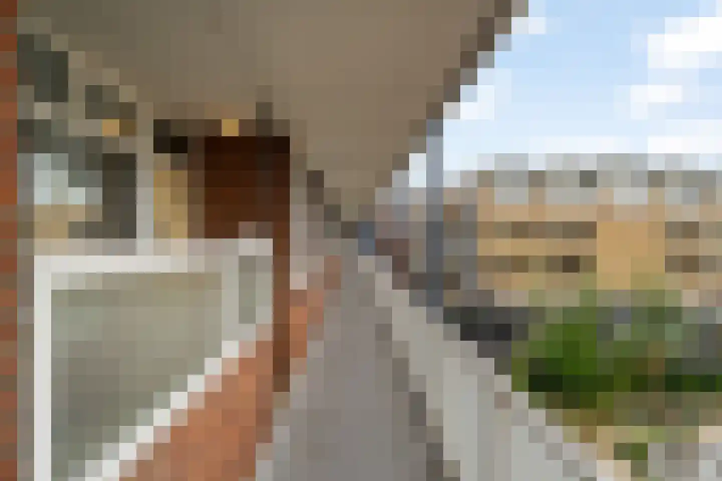 Oranjestraat 93 Schiedam thumbnail 14