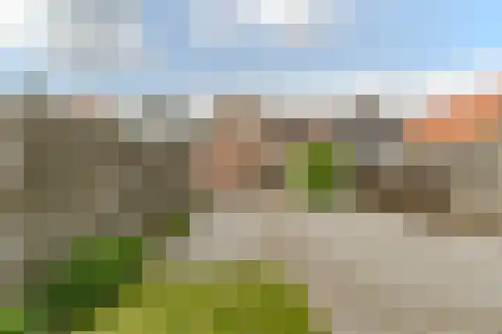 Oranjestraat 99 Gilze thumbnail 4