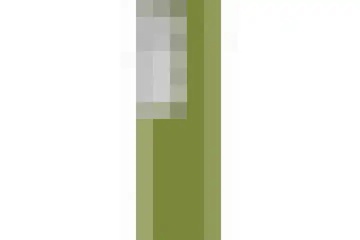 Oranjestraat 99 Gilze thumbnail 53
