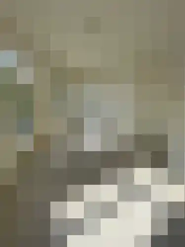 Oranjestraat Velp thumbnail 4