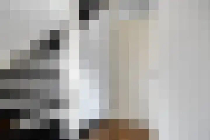 Oranjetip 13 Oss thumbnail 24