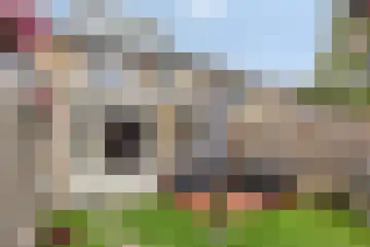 Oranjetip 13 Oss thumbnail 28