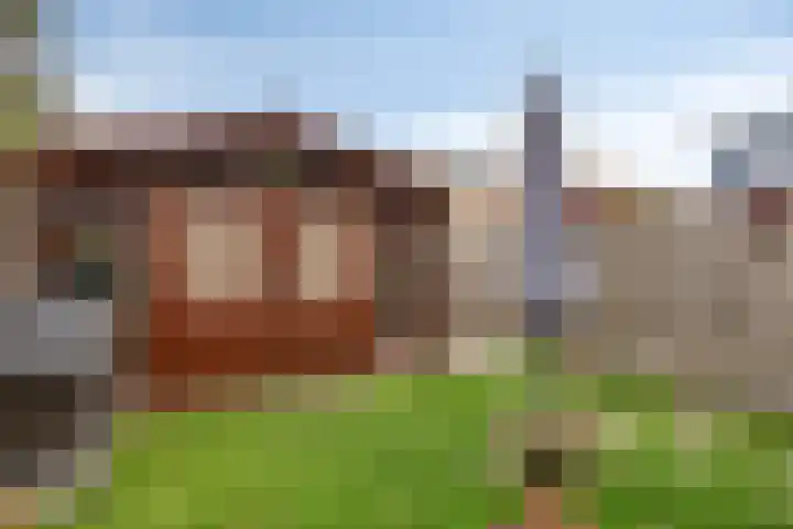 Oranjetip 13 Oss thumbnail 30