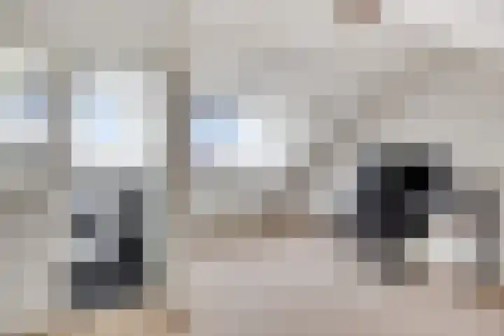 Oranjetip 13 Oss thumbnail 5