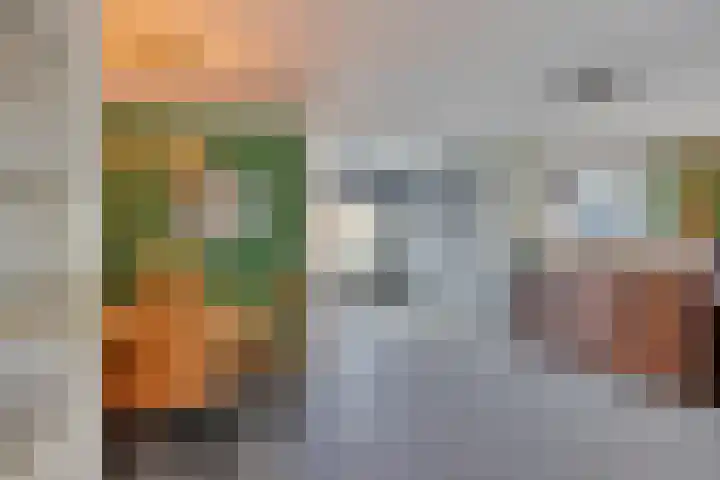 Oranjetip 13 Oss thumbnail 8