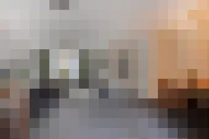 Oranjetip 13 Oss thumbnail 9