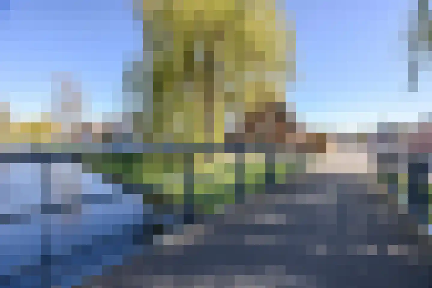 Oranjetip 16 Hellevoetsluis thumbnail 33