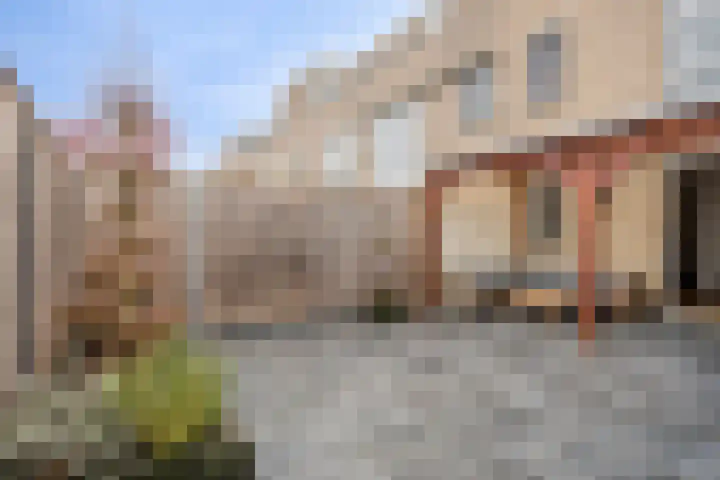 Oranjetiphof 8 Schiedam thumbnail 16