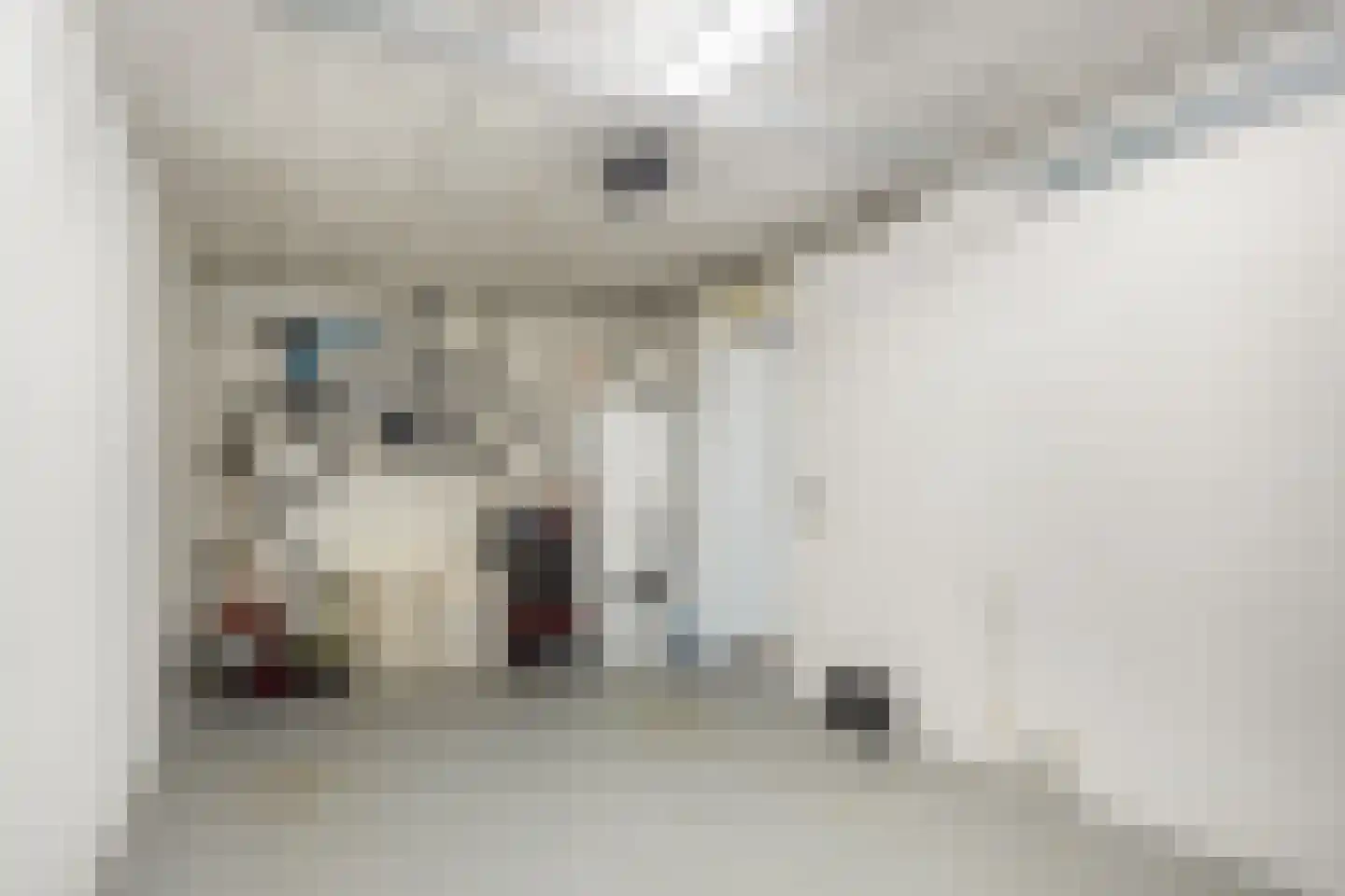 Oranjetiphof 8 Schiedam thumbnail 27