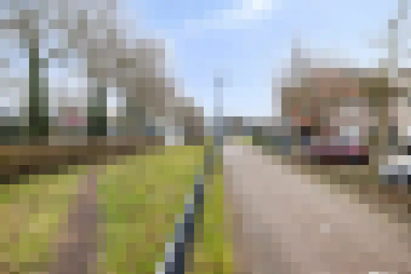 Oranjetiphof 8 Schiedam thumbnail 31