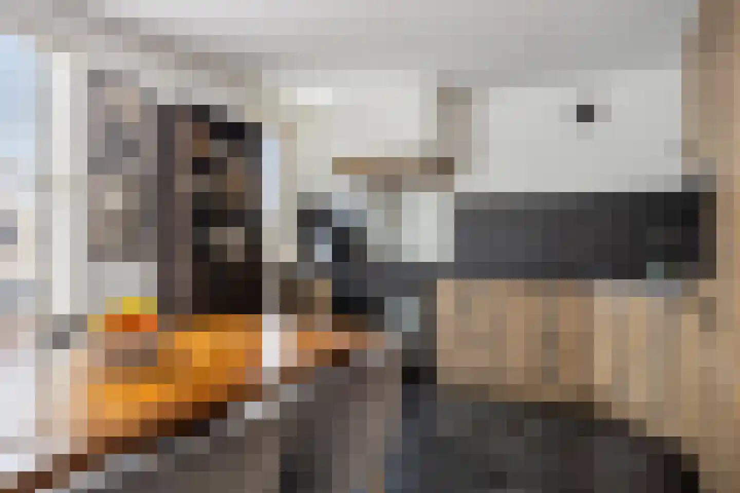 Oranjetiphof 8 Schiedam thumbnail 7