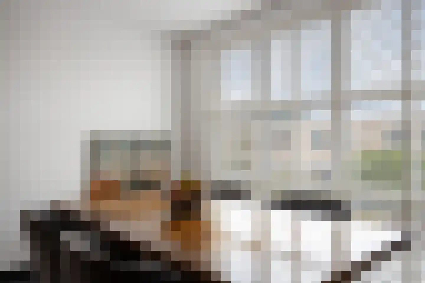 Oranjetiphof 8 Schiedam thumbnail 8