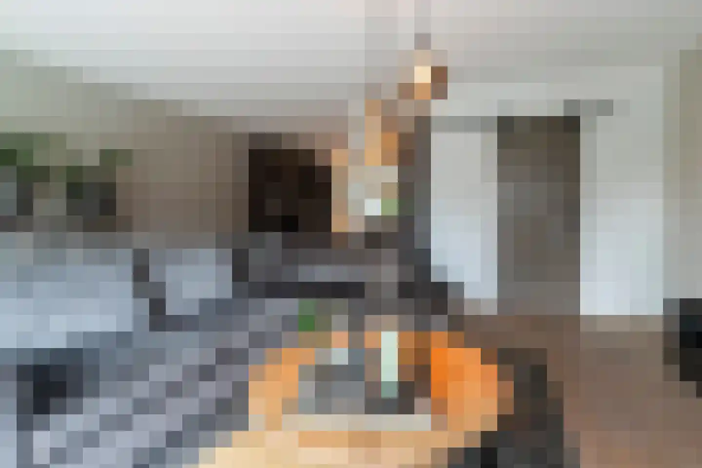Oranjetuin 4 Naaldwijk thumbnail 18