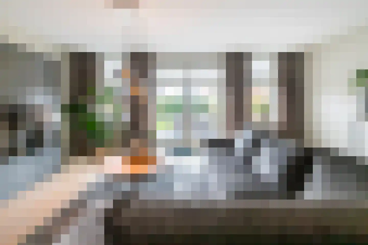 Oranjetuin 4 Naaldwijk thumbnail 20