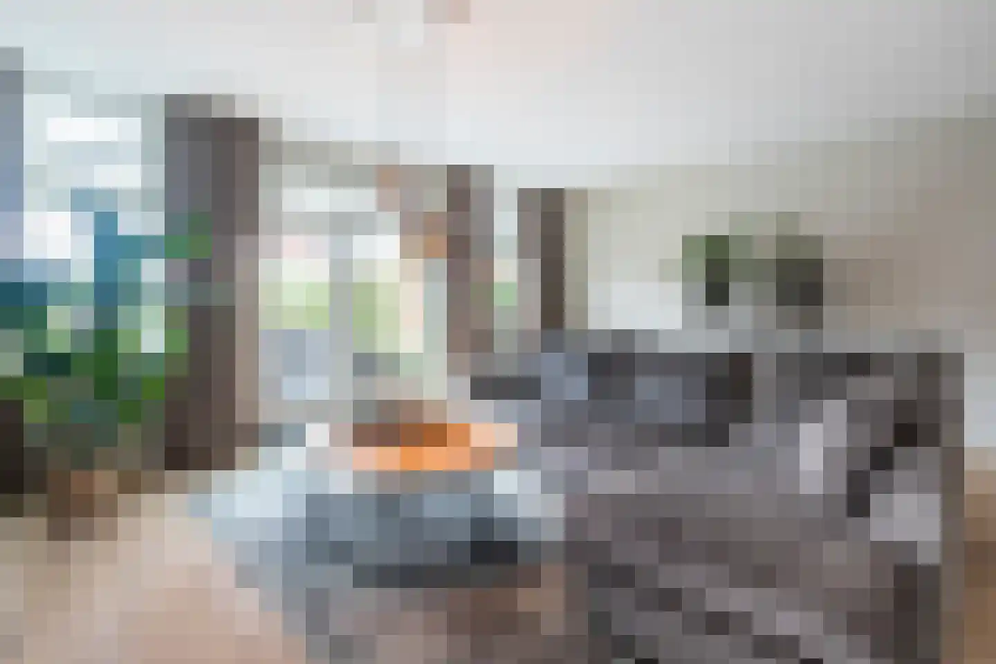 Oranjetuin 4 Naaldwijk thumbnail 21