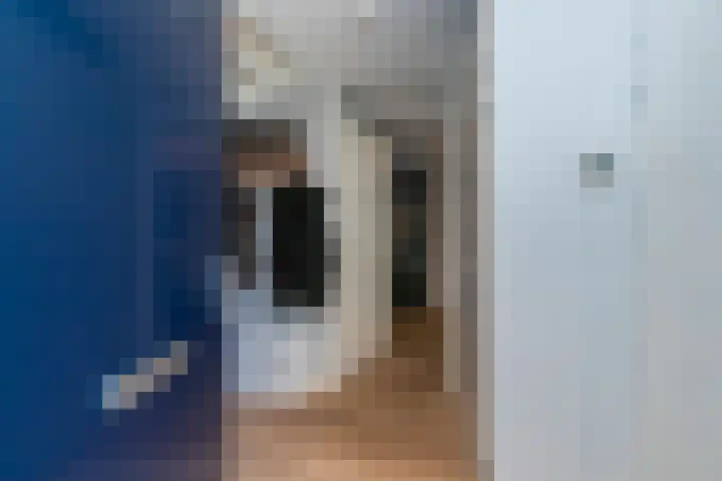 Oranjetuin 4 Naaldwijk thumbnail 6