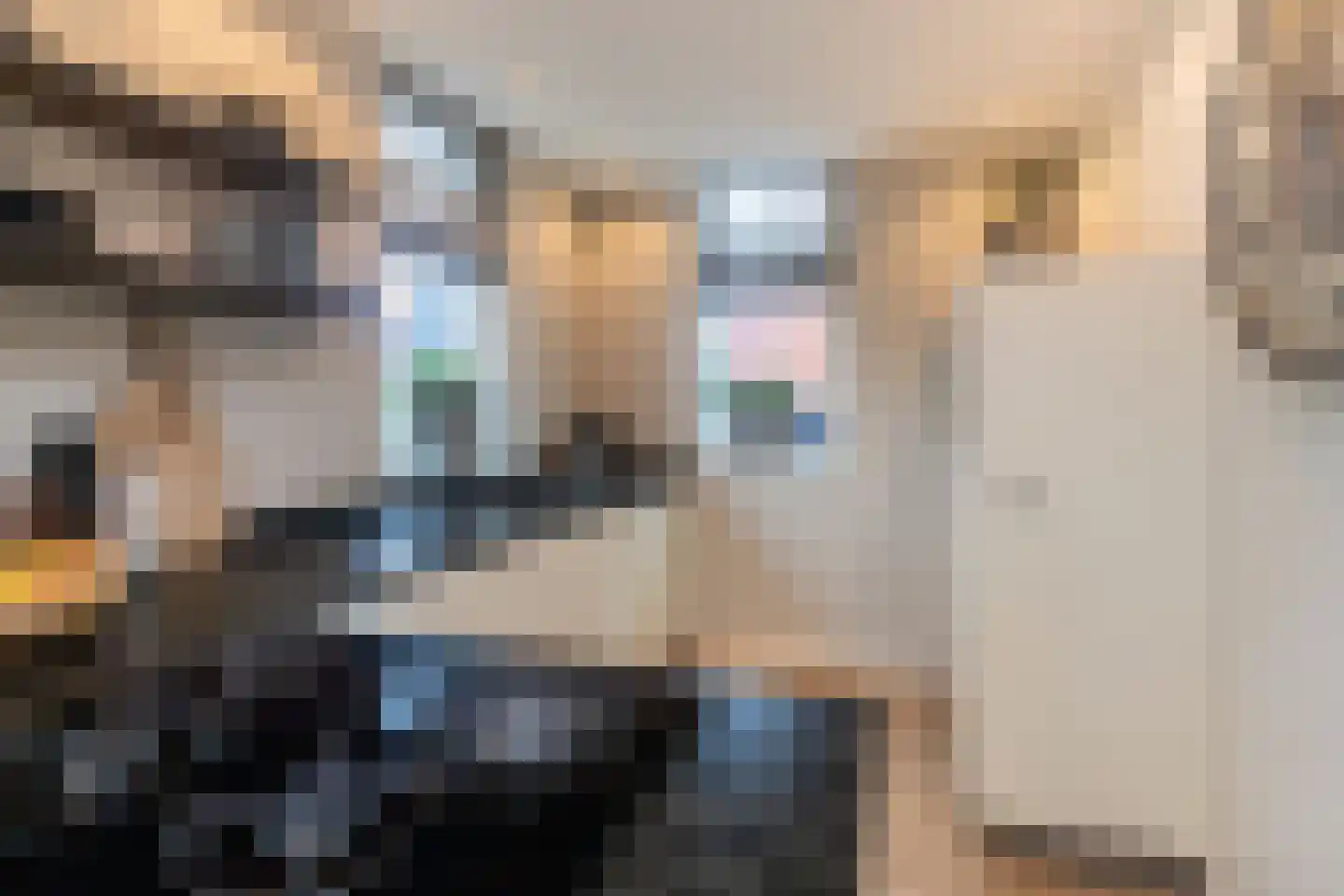 Oranjetuin 4 Naaldwijk thumbnail 7
