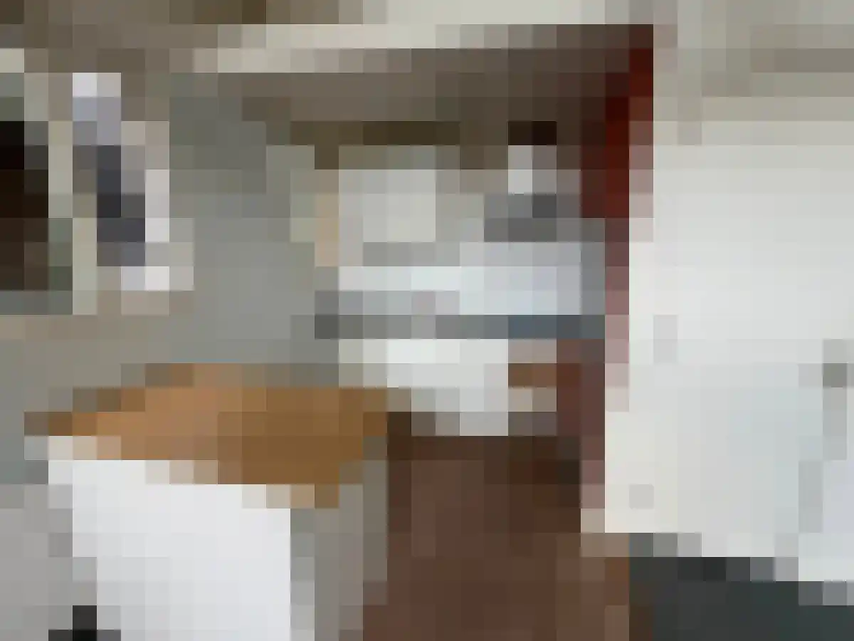 Oranjewaltje 44 Leeuwarden thumbnail 6