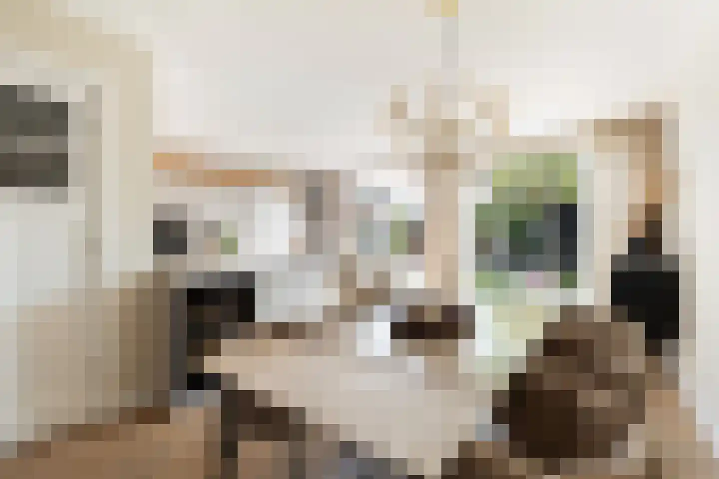 Oranjeweg 1 Kortenhoef thumbnail 13