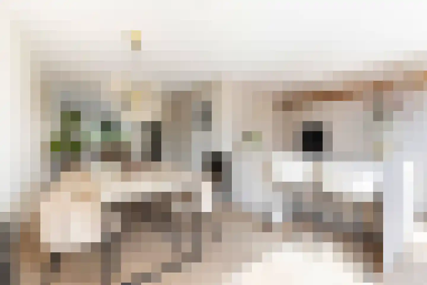 Oranjeweg 1 Kortenhoef thumbnail 15
