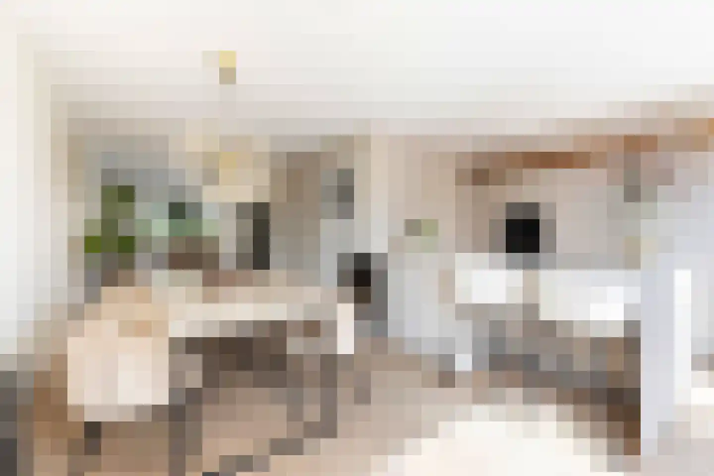 Oranjeweg 1 Kortenhoef thumbnail 15