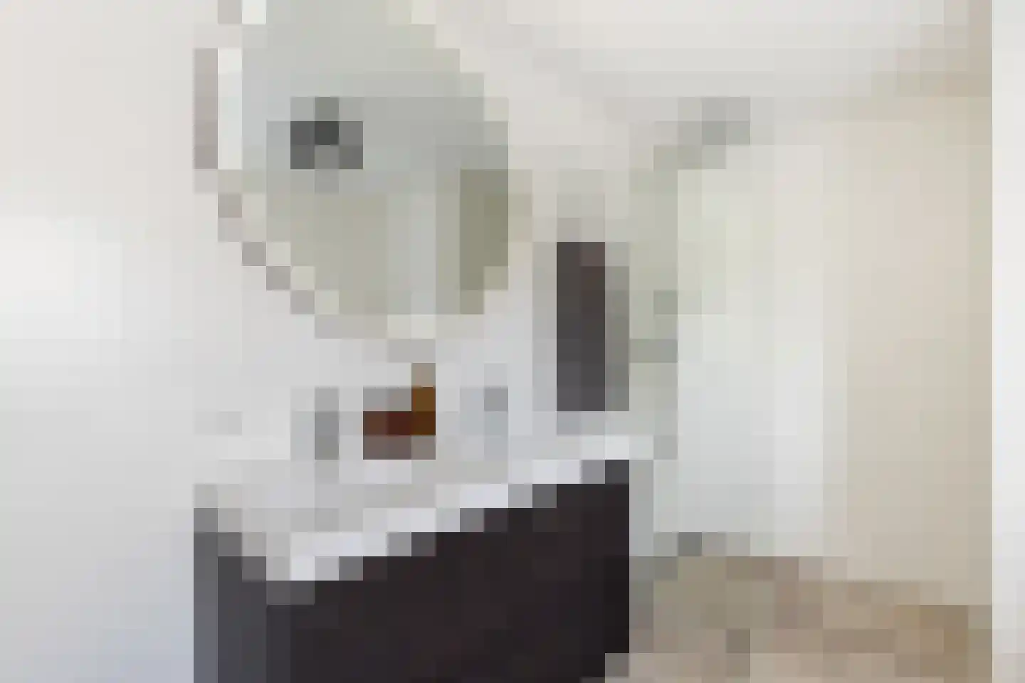 Oranjeweg 1 Kortenhoef thumbnail 38