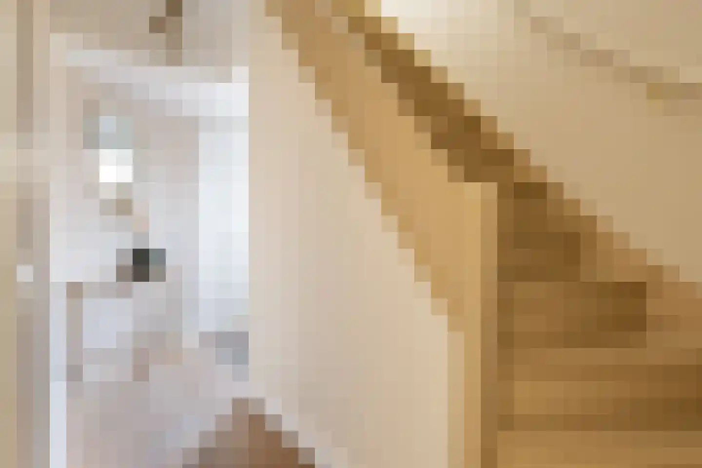 Oranjeweg 1 Kortenhoef thumbnail 4