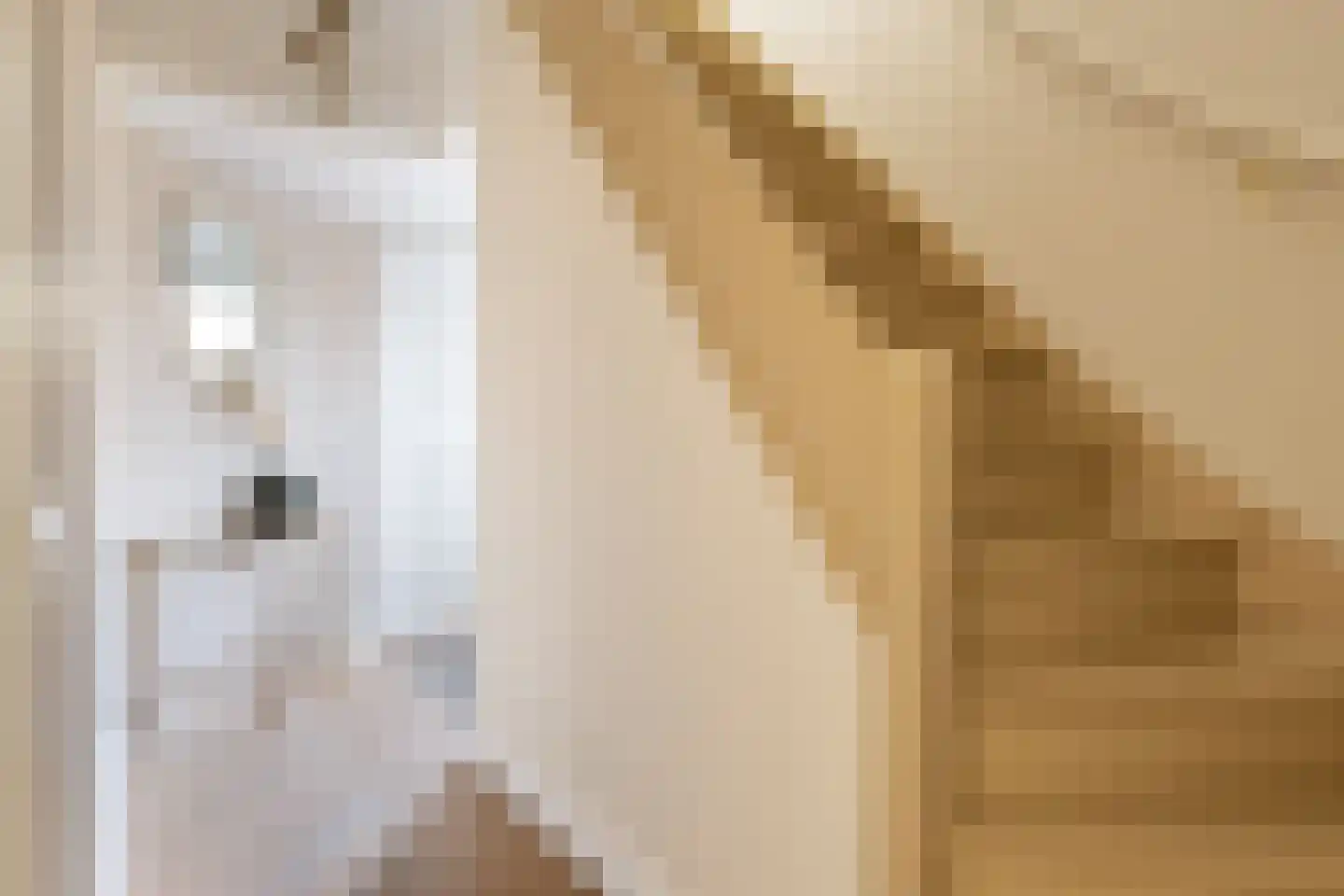Oranjeweg 1 Kortenhoef thumbnail 4