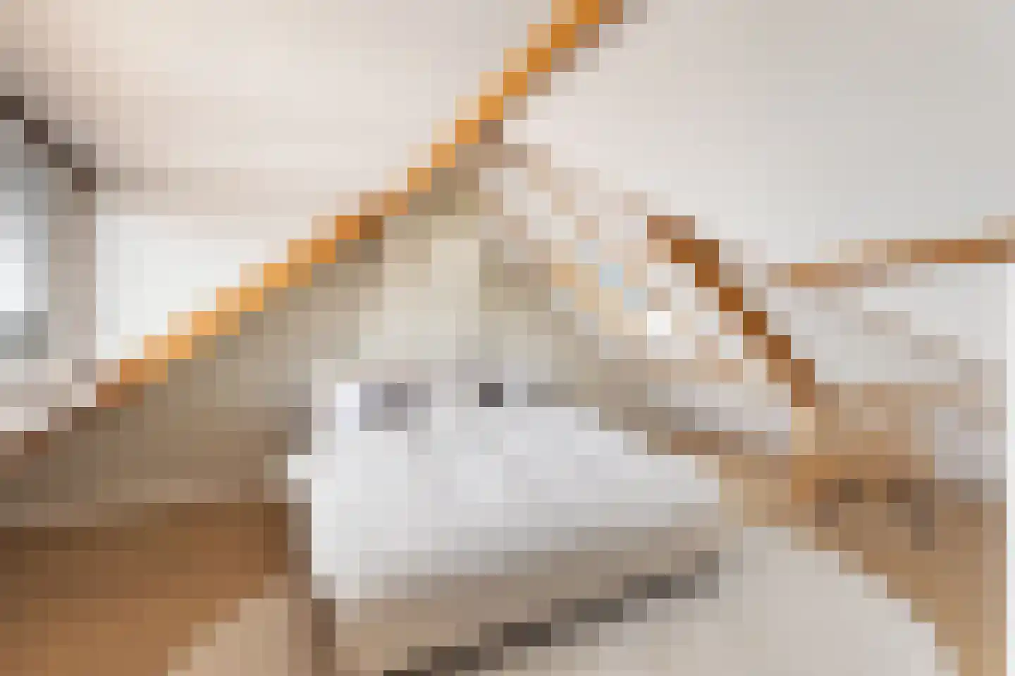 Oranjeweg 1 Kortenhoef thumbnail 45