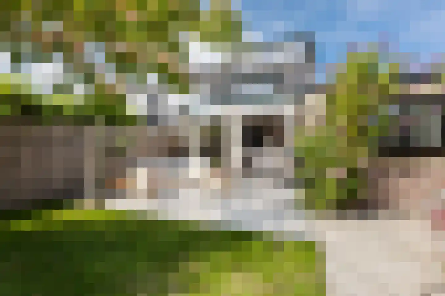 Oranjeweg 1 Kortenhoef thumbnail 47