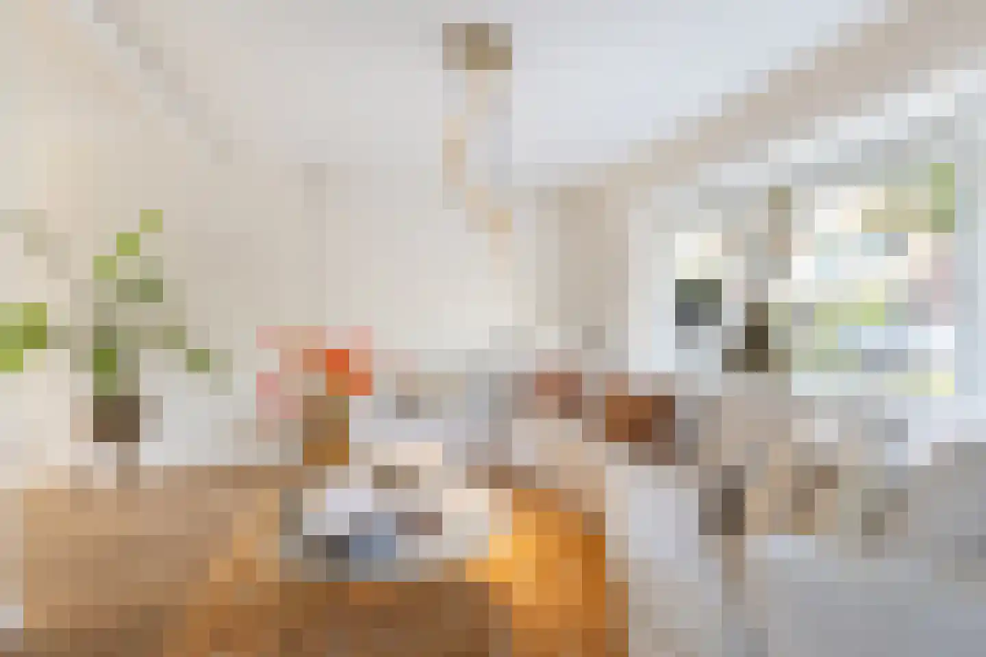 Oranjeweg 1 Kortenhoef thumbnail 9