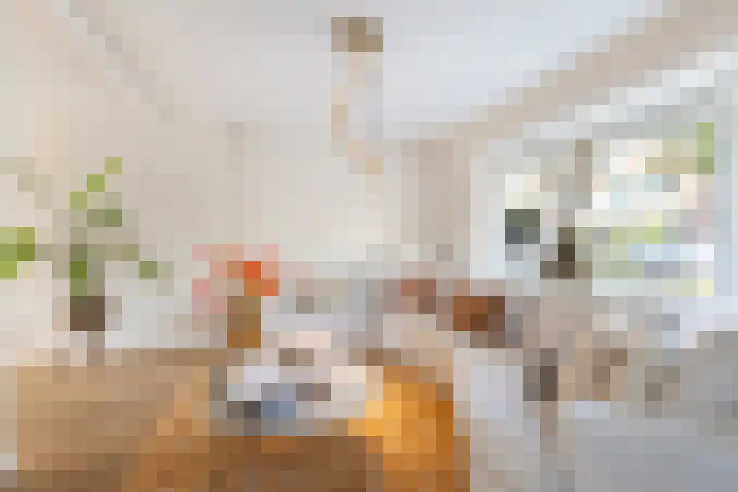 Oranjeweg 1 Kortenhoef thumbnail 9