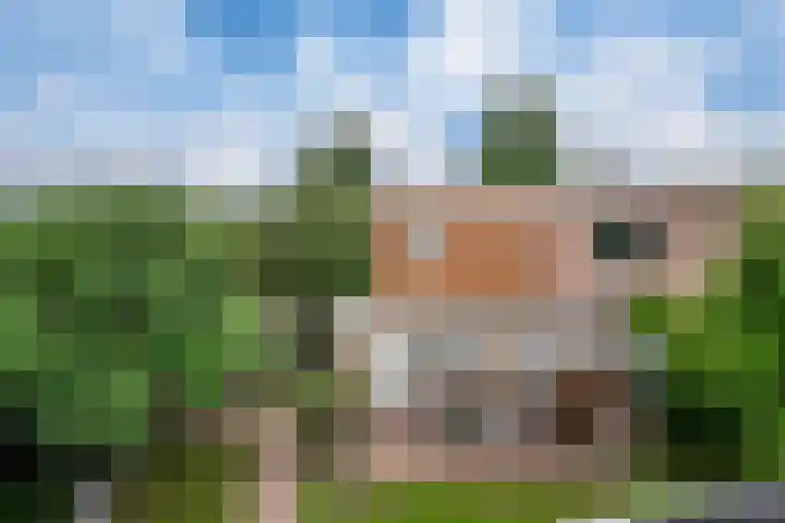 Oranjeweg 107 a Rheden thumbnail 27