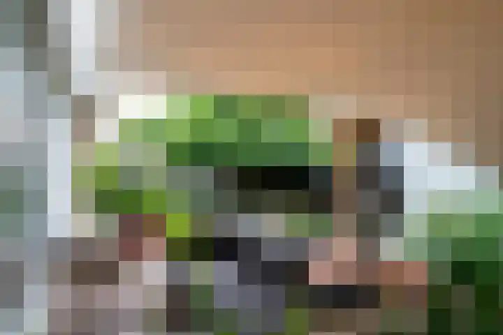 Oranjeweg 107 a Rheden thumbnail 32