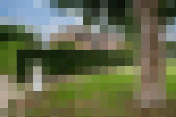 Oranjeweg 107 a Rheden thumbnail 6