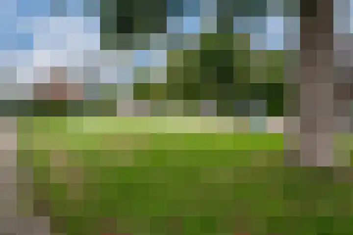 Oranjeweg 107 a Rheden thumbnail 63