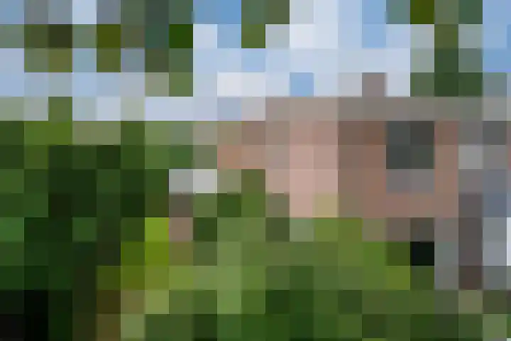 Oranjeweg 107 a Rheden thumbnail 7