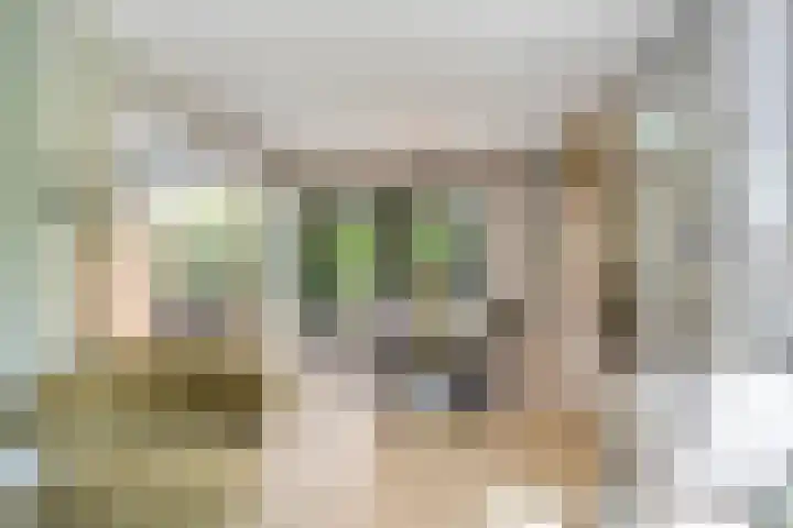 Oranjeweg 12 b Wapenveld thumbnail 14
