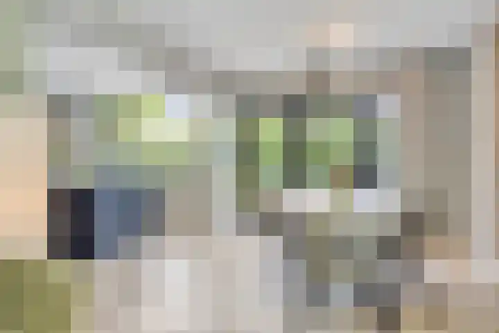 Oranjeweg 12 b Wapenveld thumbnail 15